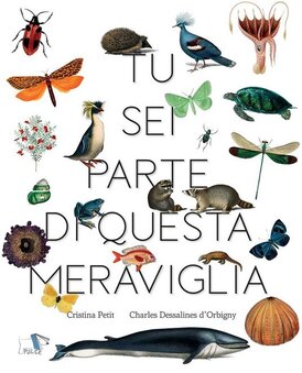 Tu sei parte di questa meraviglia - Cristina Petit | Libro | Itacalibri