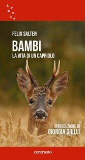 Bambi. La vita di un capriolo - Felix Salten | Libro | Itacalibri