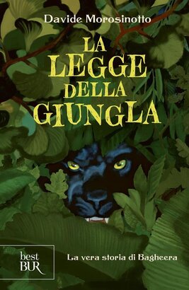 La legge della giungla. La vera storia di Bagheera - Davide Morosinotto | Libro | Itacalibri